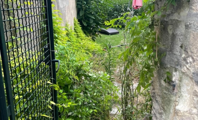 Entretien de jardin à St Restitut, Saint-Paul-Trois-Châteaux, DESIGN'PAYSAGE